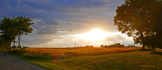 Fototapeta na wymiar The golden sun is going down over the flat agricultural fields of East Frisia in Germany. The dry grass and wheat get a golden glow. In the distance a wind turbine. Dark clouds on top of the the sun. 