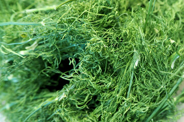 lots of dried green dill. spice . green background