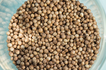 Dried seeds coriander in the glass cup. Ingredient for spices. Culinary background texture. Top view.