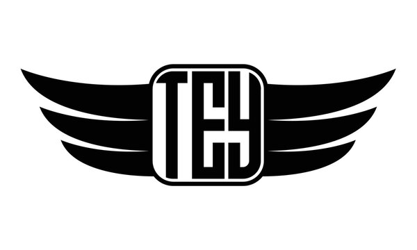 TEY three Letter wing minimalist creative concept icon eagle symbol professional black and white logo design, Vector template