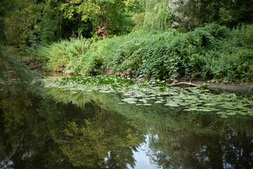 Naklejka premium Streetshot in Vesoul in France