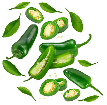 Flying Jalapeno Chili Peppers Isolated On White Background Capsicum Annuum Fruits. Clipping Path