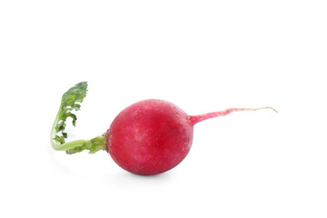 Fresh tasty ripe radish isolated on white