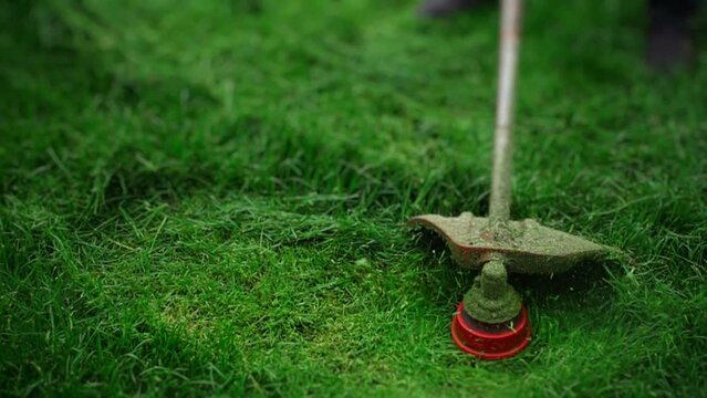 Cutting grass with trimmer in slow motion. 500 fps. Shallow depth of field