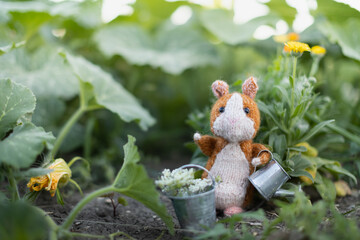 Guinea pig knitted toy