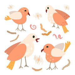 Cartoon birds vector set isolated on white background