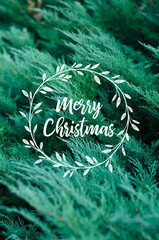 Closeup of Christmas fir tree branch outdoor background