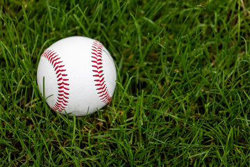 Baseball Grass