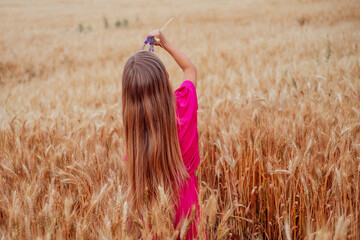 girl in a wheat field holds a bouquet of lavender in her hands