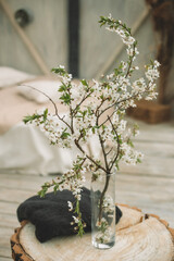a vase with a sprig of cherry blossom on the background of a blurred bed, studio decoration