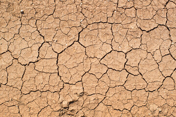 dry cracked earth of light brown color