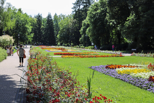 RABKA-ZDROJ, POLAND - 18 JULY 2022: Flower bed in city park, Rabka, Poland.