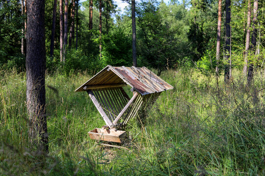 A wooden feeder for wild animals set in the forest.