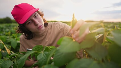 Agricultural soy. teenager male farmer with a digital tablet works on a soybean plantation. farm business concept. young farmer with digital tablet close-up examining soybean plant close-up lifestyle © maxximmm