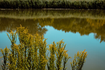 Schönauer Traverse bei blauem Himmel und schönem Wetter