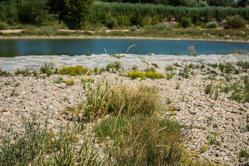 Donauufer in Schönau an der Donau, Niederösterreich