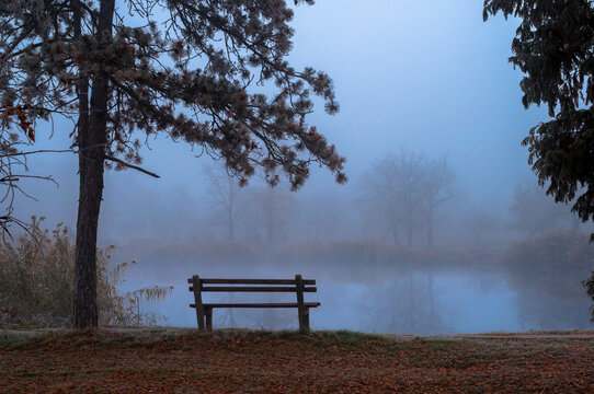 Dark autumn landscape showing bench beside pond on a misty morning