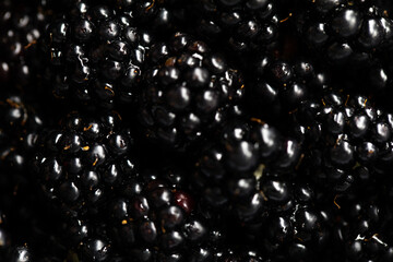 Blackberries