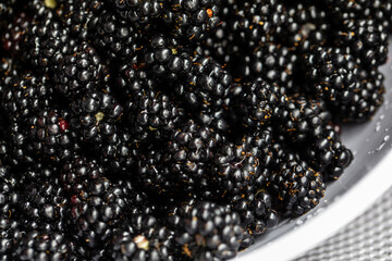 Blackberries