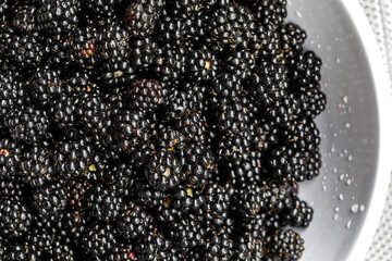 Blackberries