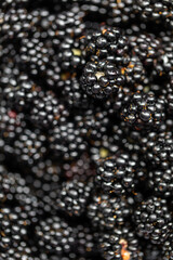 Blackberries