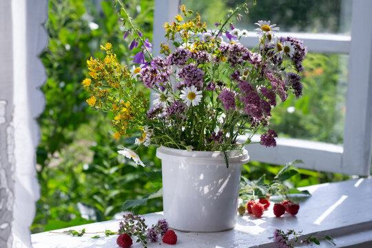 Sill Bilder – Durchsuchen 91,580 Archivfotos, Vektorgrafiken und Videos ...