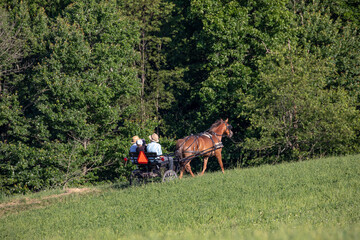 Fototapeta na wymiar Young Amish children riding a horse and cart through a field with trees in the background
