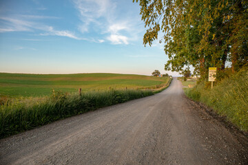 Country gravel road beside trees and a field in Ohio's Amish country
