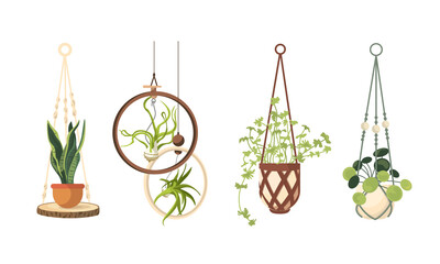 Set of macrame hangers for plants growing in pots. Bundle of hanging planters made of cotton cord, beautiful handmade home decorations isolated on white background. Cartoon flat vector illustration.