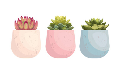 Hand drawn colorful succulent set