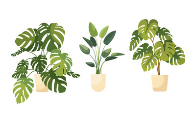Girl caring for plants. Greenhouse, plants growing in pots. Crazy plant lady. Watering a home garden. Beautiful girl take care of plants. Illustration of house plants and flowers in pots