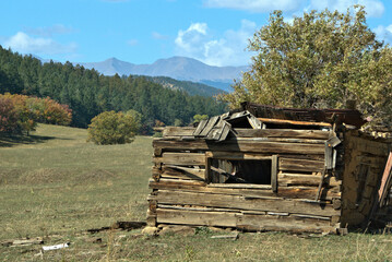 Ruins Log home in a mountain meadow
