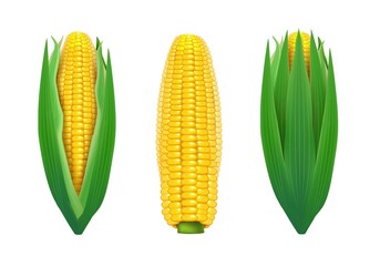 Realistic Detailed 3d Sweet Organic Corn Cob with Green Leaf Set Isolated on a White Background. Vector illustration