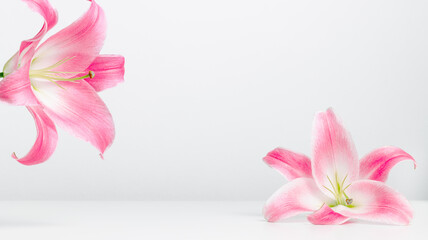 Spa background with lily flowers. Copy space for beauty, spa, perfume and product presentation. Minimal flower background