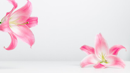 Obraz premium Spa background with lily flowers. Copy space for beauty, spa, perfume and product presentation. Minimal flower background