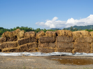Sale of feed for livestock. Hay blocks. Lots of hay. Horse feed warehouse.