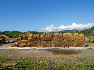 Fototapeta premium Sale of feed for livestock. Hay blocks. Lots of hay. Horse feed warehouse.