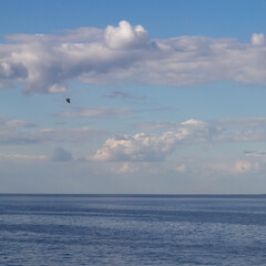 Fototapeta na wymiar endless blue calm sea or lake with blue sky with white clouds