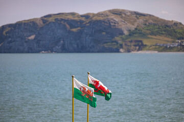 Just a couple of Welsh flags - 519225152