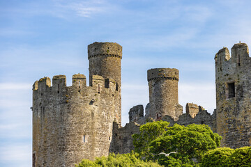 Conwy Castle in North Wales - 519225176