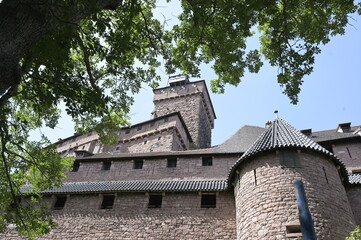 Les mures et les toitures du château de Koenigsbourg entourer de feuille d'arbre en Grand Est (Alsace).