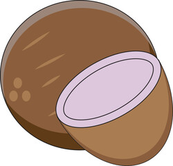 Coconut icon vector isolated on white background. 