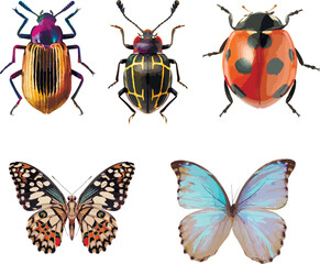 Set of graphical hand-drawn bugs, butterfly	