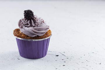 Delicious blackberry muffin. copy space
