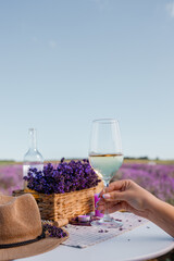 Woman hand with white wine glass on a lavander fields background in Provence, France. Lines of purple flowers bushes