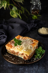 Food photography of lasagna, cheese, parmesan, oregano