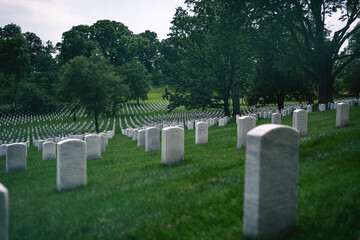 rows of military graves in Arlington Cemetery, Virginia, close to Washington DC, USA