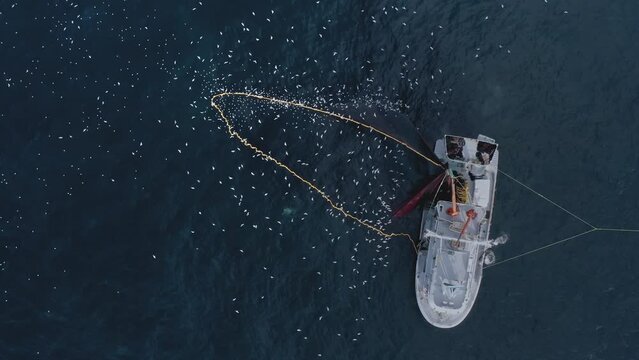 A fishing boat seen in birds eye while pulling back the giant net in Black Sea, Turkey.