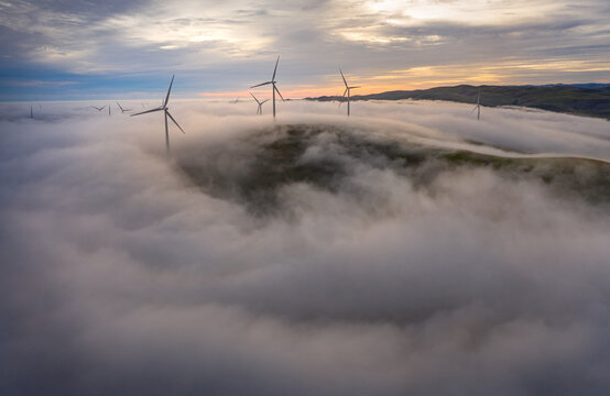 A wind farm rises above a thick blanket of morning fog, Bay Area, California, USA