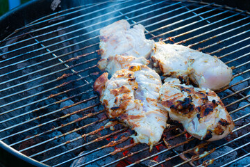  unhealthy, disgusting, burnt chicken meat on the grill grate 